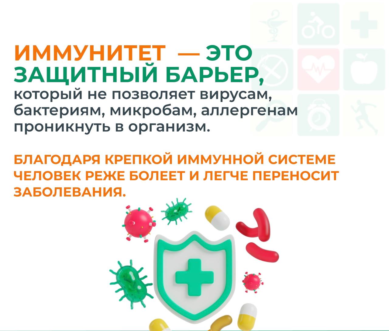 photo 2026 02 25 09 13 35