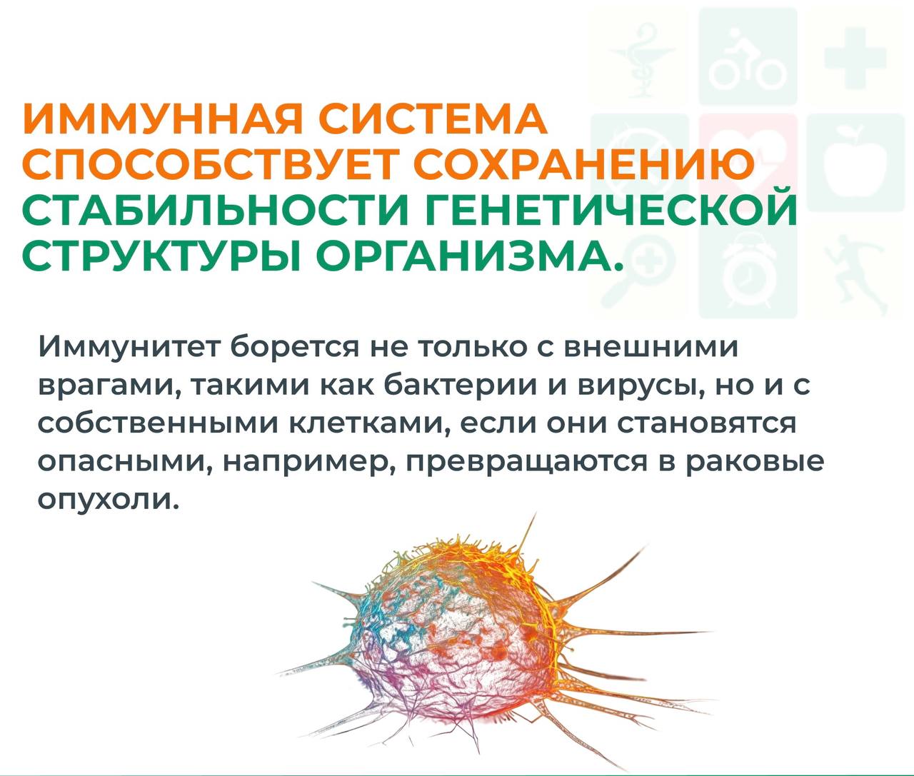 photo 2026 02 25 09 13 43